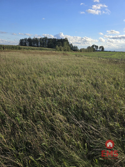 Działak budowlana blisko Narwi - Pajewo  -
Podlaskie Zdjęcie nr 3