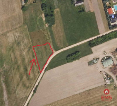 Działak budowlana blisko Narwi - Pajewo  -
Podlaskie Zdjęcie nr 5