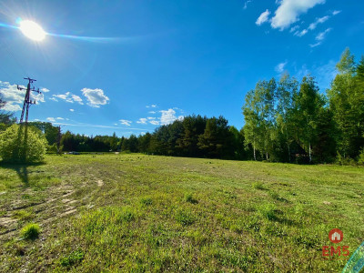 Działka w Katrynce - Katrynka  - Podlaskie