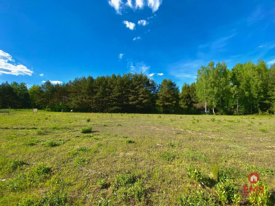 Działka w Katrynce - Katrynka  -
Podlaskie Zdjęcie nr 5