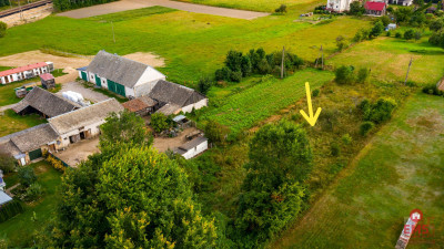 Działka pod lasem blisko Białegostoku - Trypucie  -
Podlaskie Zdjęcie nr 2