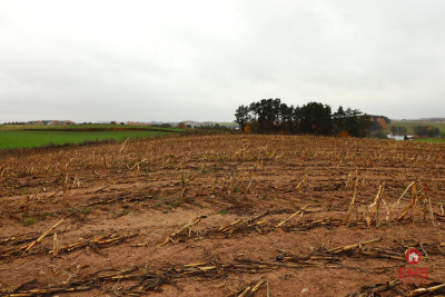 Działka rolno-budowlana - Żegary gm Sejny - Żegary  -
Podlaskie Zdjęcie nr 12