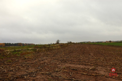 Działka rolno-budowlana - Żegary gm Sejny - Żegary  -
Podlaskie Zdjęcie nr 2