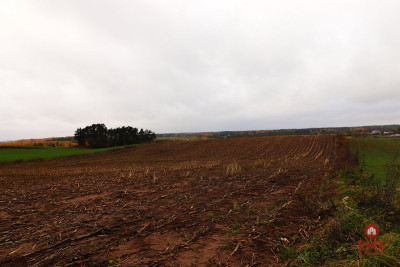Działka rolno-budowlana - Żegary gm Sejny - Żegary  -
Podlaskie Zdjęcie nr 3