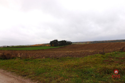 Działka rolno-budowlana - Żegary gm Sejny - Żegary  -
Podlaskie Zdjęcie nr 6