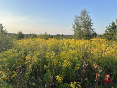 Ziemia pod uprawy blisko Hajnówki - Morze  -
Podlaskie Zdjęcie nr 2