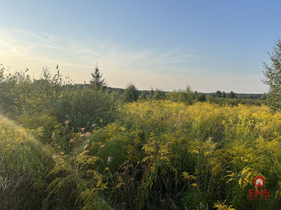 Ziemia pod uprawy blisko Hajnówki - Morze  -
Podlaskie Zdjęcie nr 3