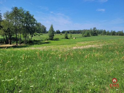 Jezioro strefa ciszy piękne widoki - Dobra Wola  -
Warmińsko-Mazurskie Zdjęcie nr 4