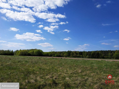 Działka inwestycyjna w pobliżu lasu - Olmonty  -
Podlaskie Zdjęcie nr 3