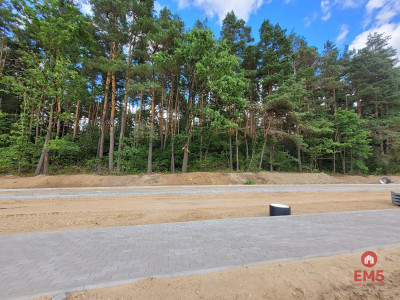 Działka inwestycyjna w pobliżu lasu - Olmonty  -
Podlaskie Zdjęcie nr 4