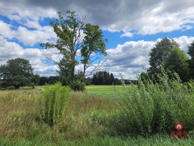 Działka budowlana wśród zieleni - Olmonty  - Podlaskie