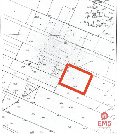 Działka w środku lasu - Płaska  -
Podlaskie Zdjęcie nr 5