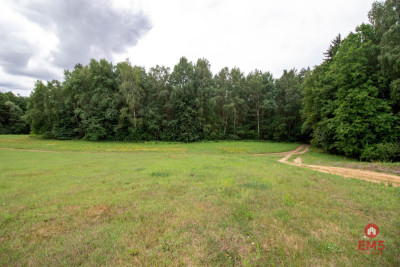 Wyjątkowa działka otoczona lasem - Jeziorki  -
Podlaskie Zdjęcie nr 6