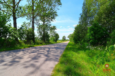 Działka w Turówce Nowej - Turówka Nowa  -
Podlaskie Zdjęcie nr 7