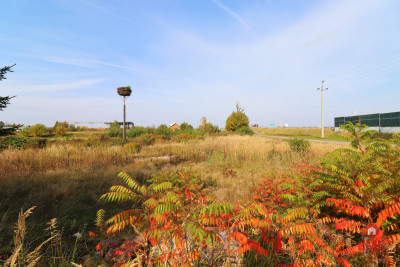 Działka usługowa w Augustowie - Augustów  -
Podlaskie Zdjęcie nr 5