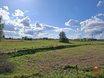 Działka inwestycyjna 22 ha - Kuriany  -
Podlaskie Zdjęcie nr 3