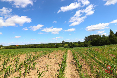 Działka budowlana na Mazurach Rożyńsk Wielki - Rożyńsk Wielki  -
Warmińsko-Mazurskie Zdjęcie nr 7