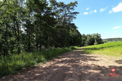 Działka budowlana na Mazurach Rożyńsk Wielki - Rożyńsk Wielki  -
Warmińsko-Mazurskie Zdjęcie nr 14
