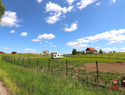 Działka budowlana na Mazurach Rożyńsk Wielki - Rożyńsk Wielki  -
Warmińsko-Mazurskie Zdjęcie nr 12