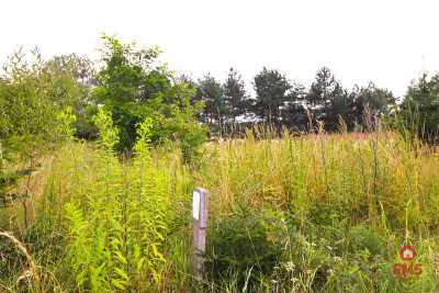 Działka budowlana pod Suwałkami - Białorogi  -
Podlaskie Zdjęcie nr 12