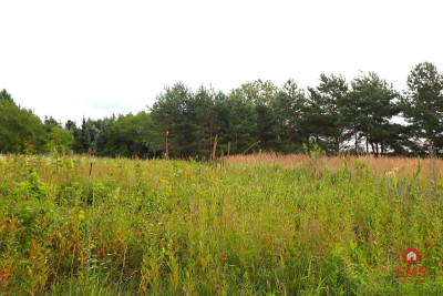 Działka budowlana pod Suwałkami - Białorogi  -
Podlaskie Zdjęcie nr 2