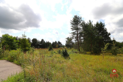Działka budowlana pod Suwałkami - Białorogi  -
Podlaskie Zdjęcie nr 3