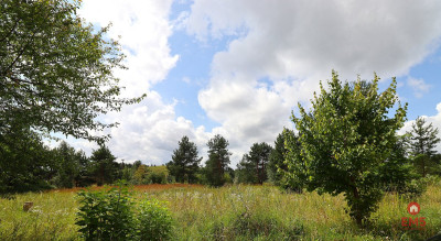 Działka budowlana pod Suwałkami - Białorogi  -
Podlaskie Zdjęcie nr 6
