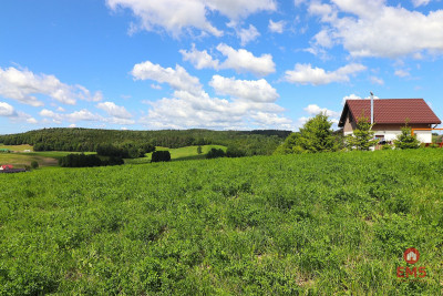 Działka rolno budowlana gmina Rutka-Tartak - Olszanka  -
Podlaskie Zdjęcie nr 3
