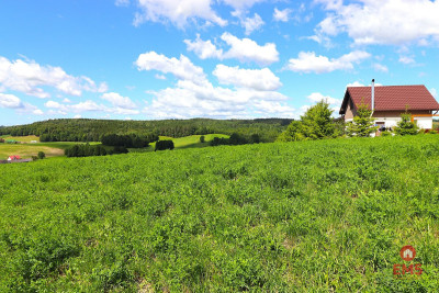 Działka rolno budowlana gmina Rutka-Tartak - Olszanka  -
Podlaskie Zdjęcie nr 4