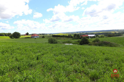 Działka rolno budowlana gmina Rutka-Tartak - Olszanka  -
Podlaskie Zdjęcie nr 6