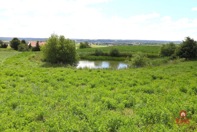 Działka rolno budowlana gmina Rutka-Tartak - Olszanka  - Podlaskie