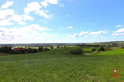 Działka rolno budowlana gmina Rutka-Tartak - Olszanka  -
Podlaskie Zdjęcie nr 3