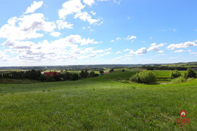 Działka rolno budowlana gmina Rutka-Tartak - Olszanka  -
Podlaskie Zdjęcie nr 4