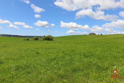 Działka rolno budowlana gmina Rutka-Tartak - Olszanka  -
Podlaskie Zdjęcie nr 5