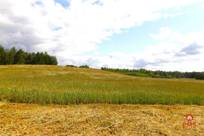 Działka rolno-budowlana Garbas II 55 ha - Garbas Drugi  -
Podlaskie Zdjęcie nr 12