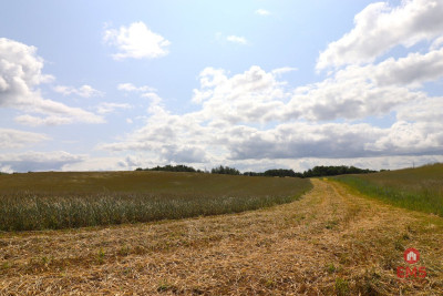 Działka rolno-budowlana Garbas II 55 ha - Garbas Drugi  - Podlaskie