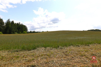 Działka rolno-budowlana Garbas II 55 ha - Garbas Drugi  -
Podlaskie Zdjęcie nr 7