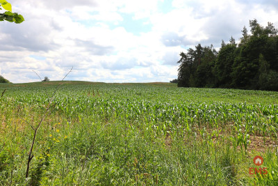 Działka budowlana na Mazurach Rożyńsk Wielki - Rożyńsk Wielki  -
Warmińsko-Mazurskie Zdjęcie nr 7