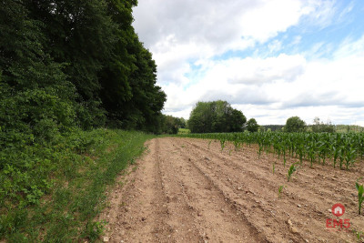 Działka na Mazurach blisko jeziora - Rożyńsk Wielki  -
Warmińsko-Mazurskie Zdjęcie nr 8