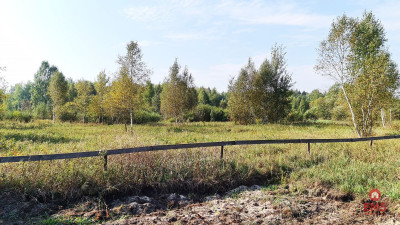 Ciasne Działka budowlana 5100 m2 - Ciasne  - Podlaskie