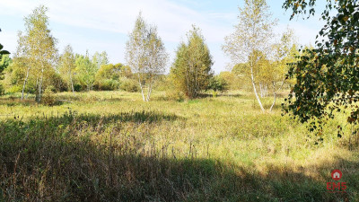 Ciasne Działka budowlana 5100 m2 - Ciasne  -
Podlaskie Zdjęcie nr 2