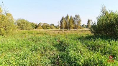 Ciasne Działka budowlana 5100 m2 - Ciasne  -
Podlaskie Zdjęcie nr 6