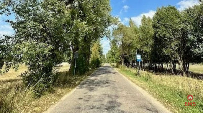 Działka inwestycyjna 164 ha Rafałówka - Rafałówka  -
Podlaskie Zdjęcie nr 2