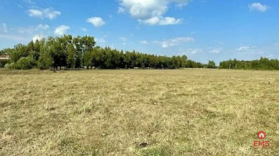 Działka inwestycyjna 164 ha Rafałówka - Rafałówka  -
Podlaskie Zdjęcie nr 3