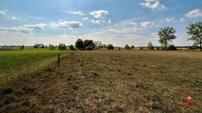 Działka inwestycyjna 164 ha Rafałówka - Rafałówka  -
Podlaskie Zdjęcie nr 5
