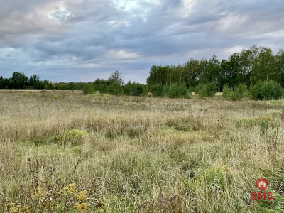 Sobolewo zaciszna  działka obok miasta - Sobolewo  -
Podlaskie Zdjęcie nr 5