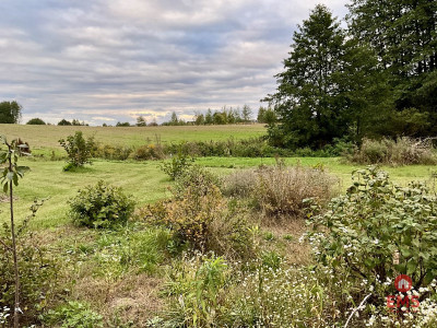 Nowodworce działka pod wymarzony dom lub inwestycj - Nowodworce  -
Podlaskie Zdjęcie nr 5