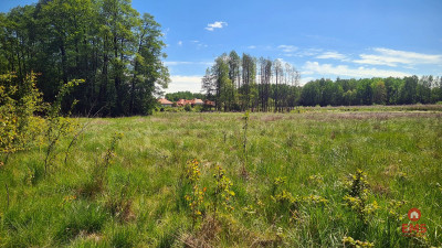 Zaścianki działka deweloperska - Zaścianki  -
Podlaskie Zdjęcie nr 3