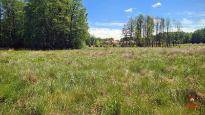 Zaścianki działka deweloperska - Zaścianki  -
Podlaskie Zdjęcie nr 4