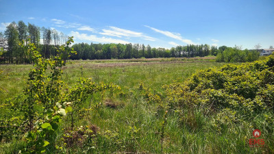 Zaścianki działka deweloperska - Zaścianki  -
Podlaskie Zdjęcie nr 5